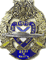 Знак 25-й дивизии РПЛСН ТОФ